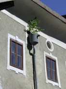 Hallein